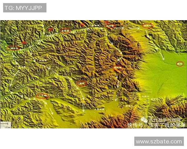 杭州网球队防守体系解析与战术运用探讨 杭州网球队防守体系解析与战术运用探讨