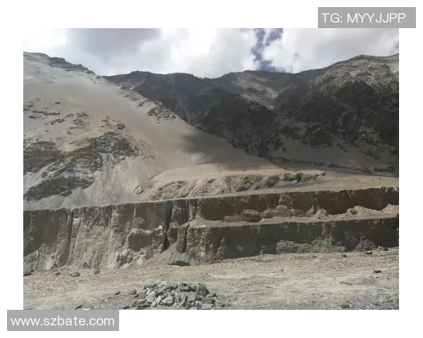 深度对话：赵军在CSGO中的成长与挑战之路