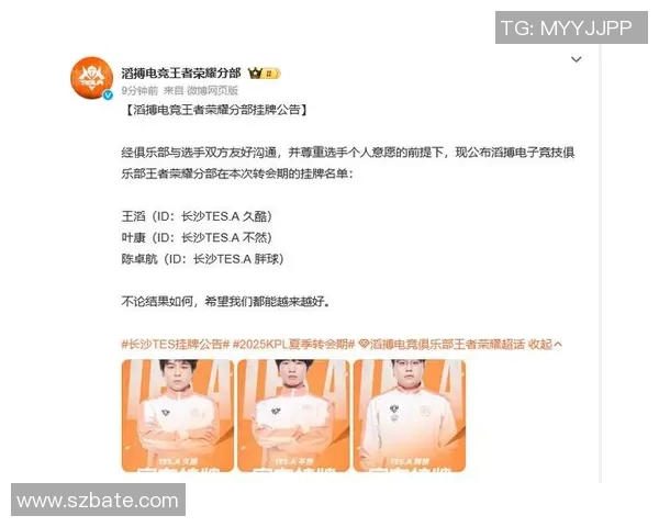 王者荣耀专题深度解析TES战队的快速崛起与战术创新